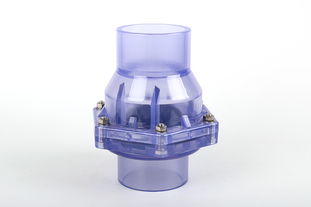 清远透明翻板式止回阀